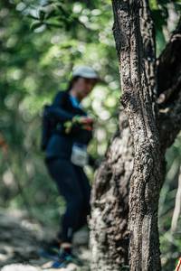 BIB: 
                            <button type="button" onclick="openModal(26051296)" class="btn btn-primary btn-sm float-right btn-popup" data-toggle="modal" data-target=".modal-high-quality">
                        <i class="fas fa-shopping-cart"></i> Add to Cart
                    </button>
                                            <button type="button" onclick="isThisMe(26051296, true)" class="btn btn-success btn-sm float-right btn-popup btn-isme hidden" data-toggle="tooltip" data-placement="bottom" title="นี่คือรูปของคุณใช่ไหม คลิกที่นี่เพื่อเอาเข้าอัลบั้ม">
                        <i class="fas fa-plus"></i> Add to album
                    </button>
                    <button type="button" onclick="isThisMe(26051296, false)" class="btn btn-warning btn-sm float-right btn-popup btn-isnotme hidden">
                        <i class="fas fa-ban"></i> Remove from album
                    </button>